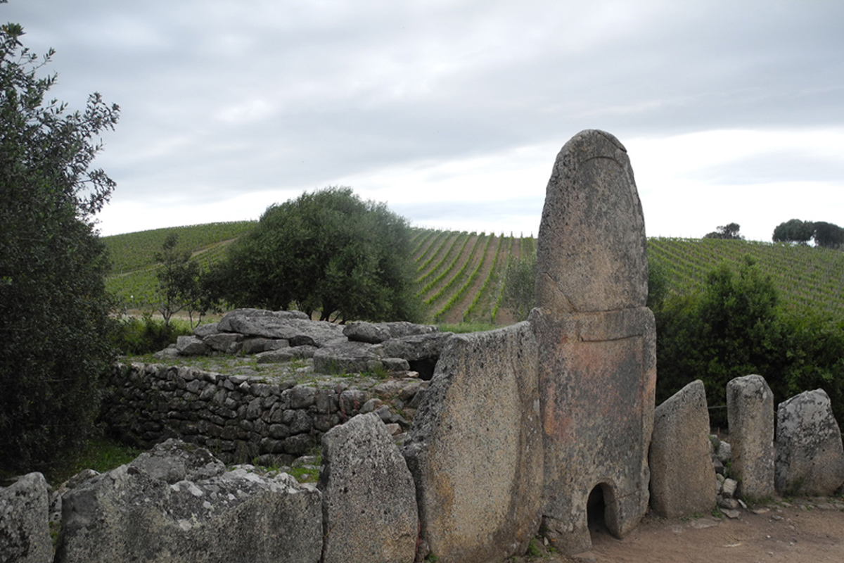 BREU NOTÍCIA SOBRE ELS VINS DE SARDENYA